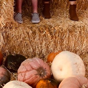 Meet your Posher, Daniela